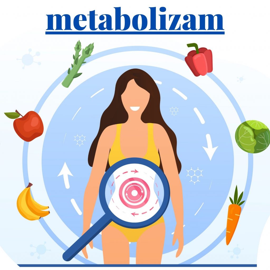 Najnovije činjenice o metabolizmu
