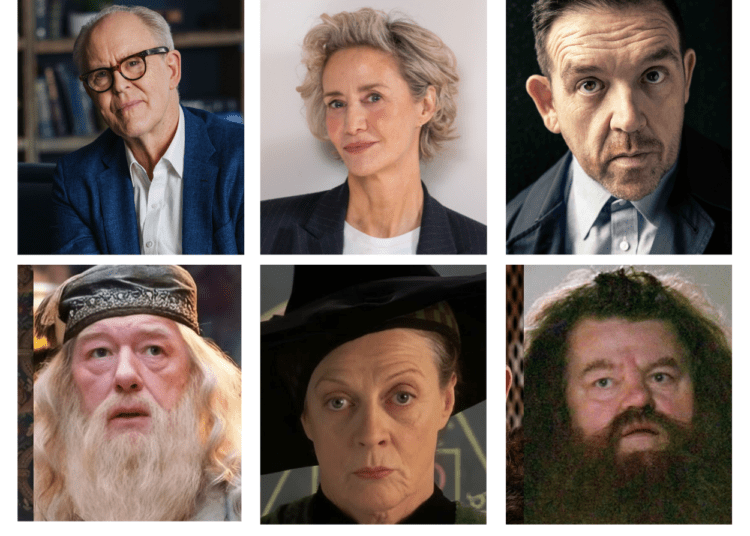 HBO Harry Potter serija