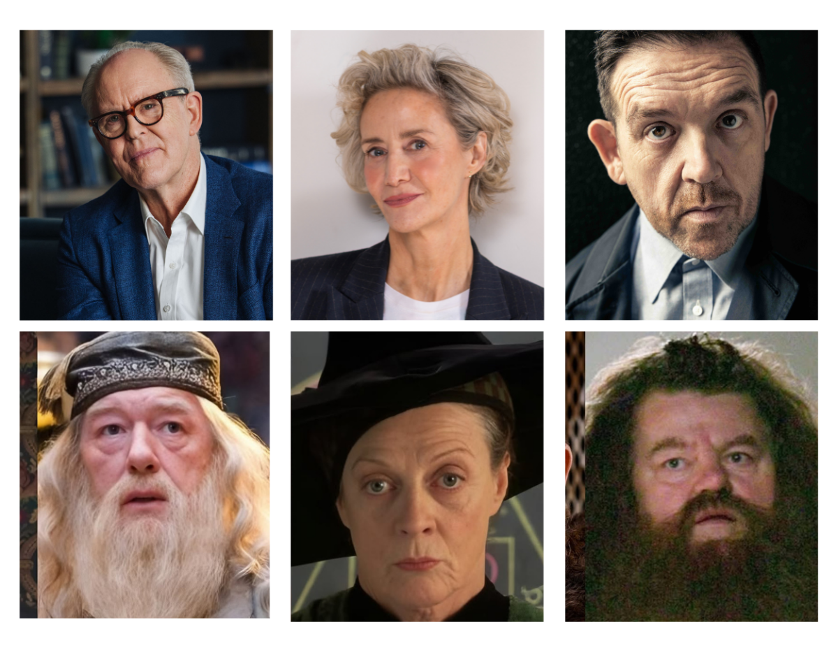 HBO Harry Potter serija