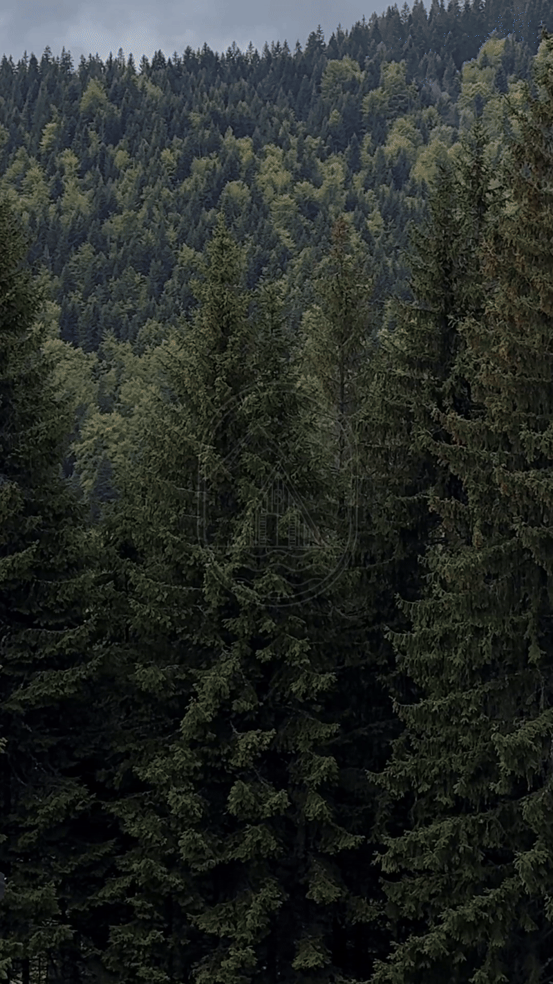 Zlatar Mountain Retreat