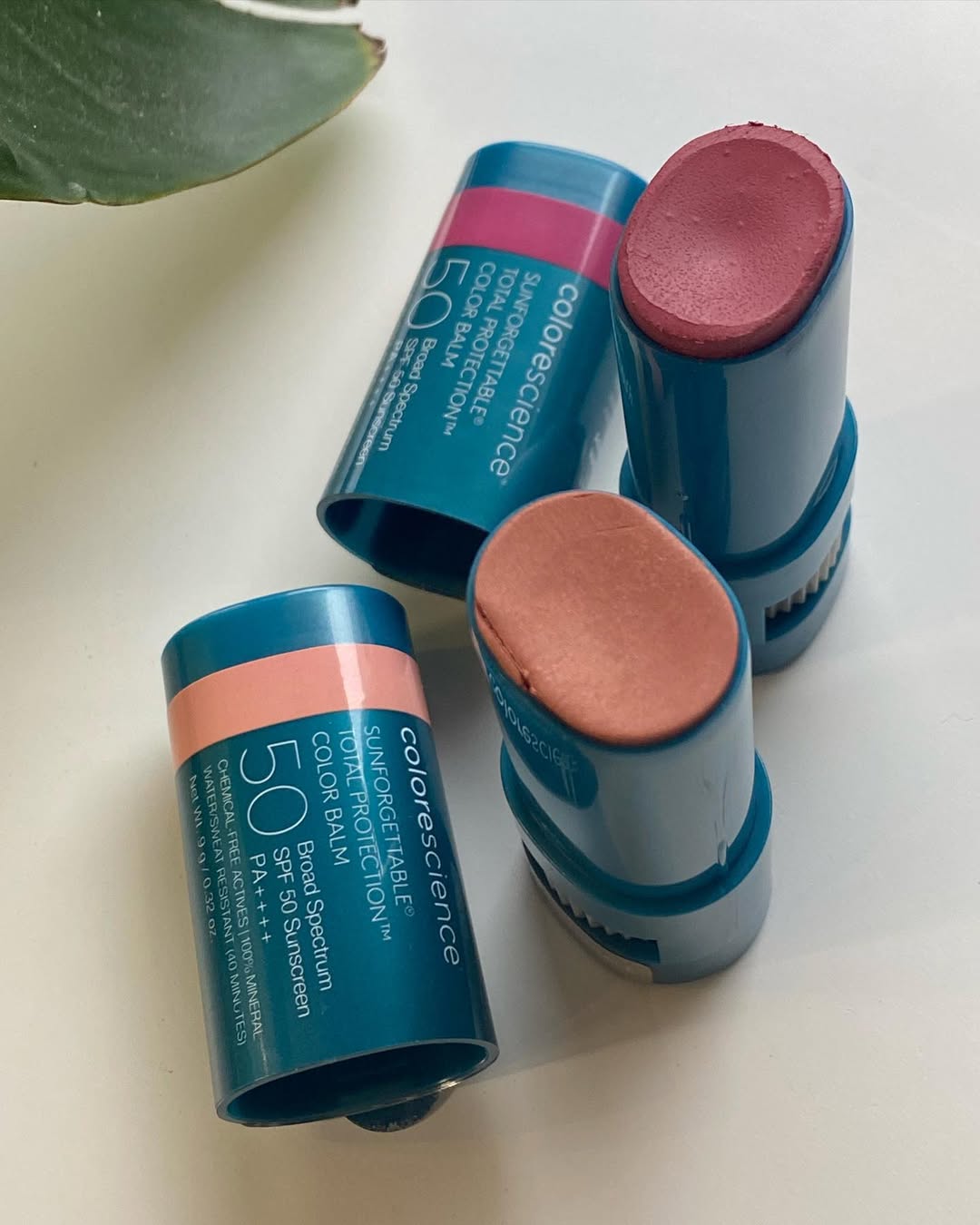 Colorescience blush