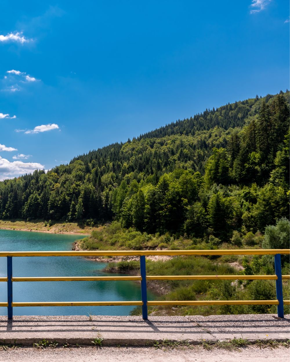 Forest bathing u Srbiji 