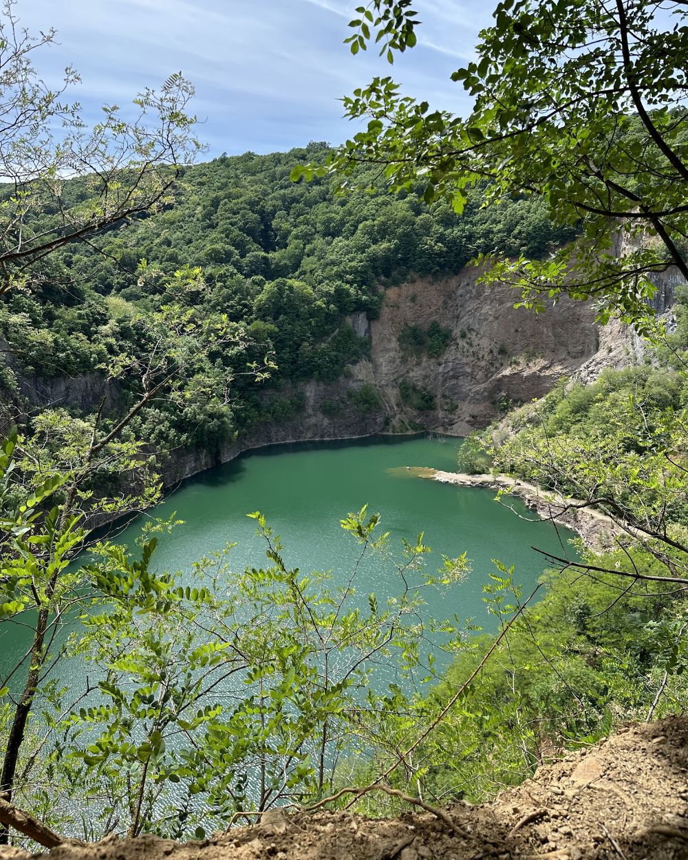 Forest bathing u Srbiji 