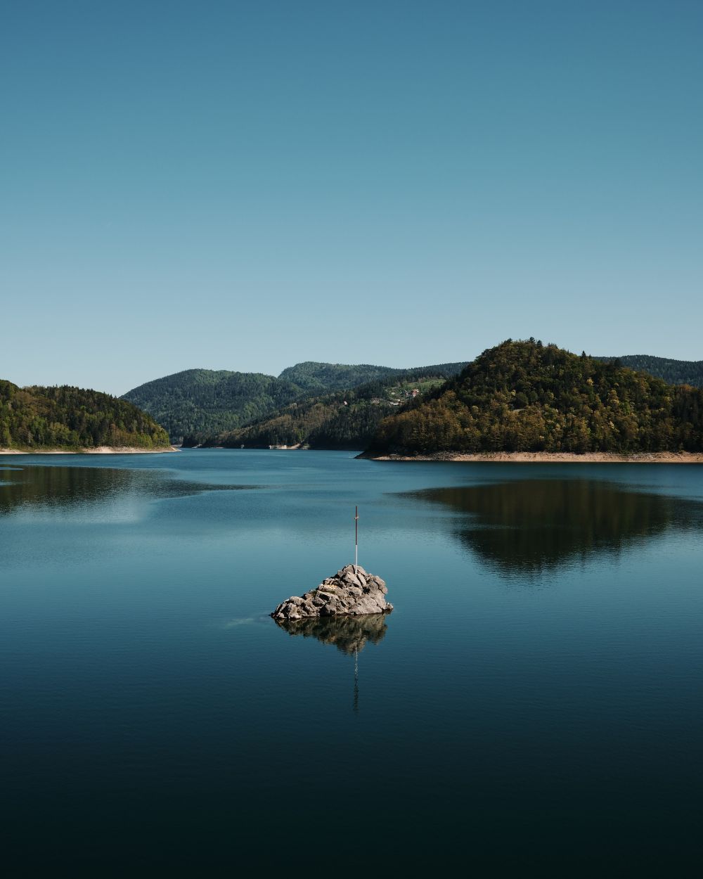 Forest bathing u Srbiji 