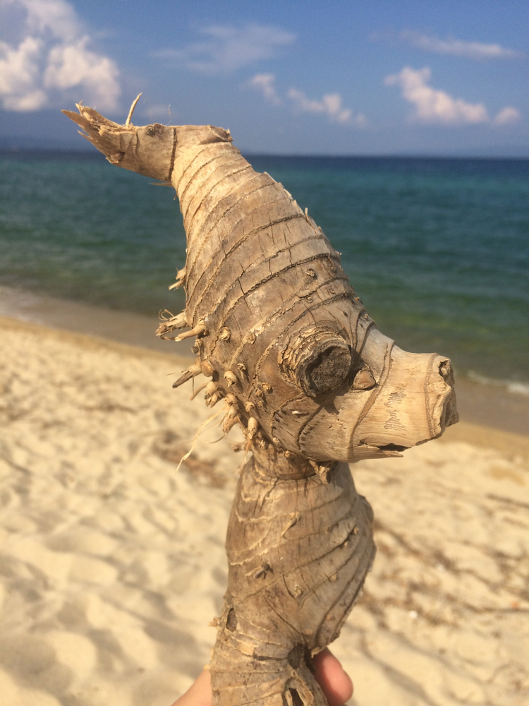 Trani Ammouda plaža dugačka i tirkizna, Sitonija