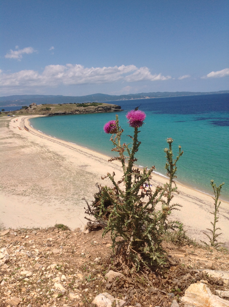 Trani Ammouda plaža dugačka i tirkizna, Sitonija