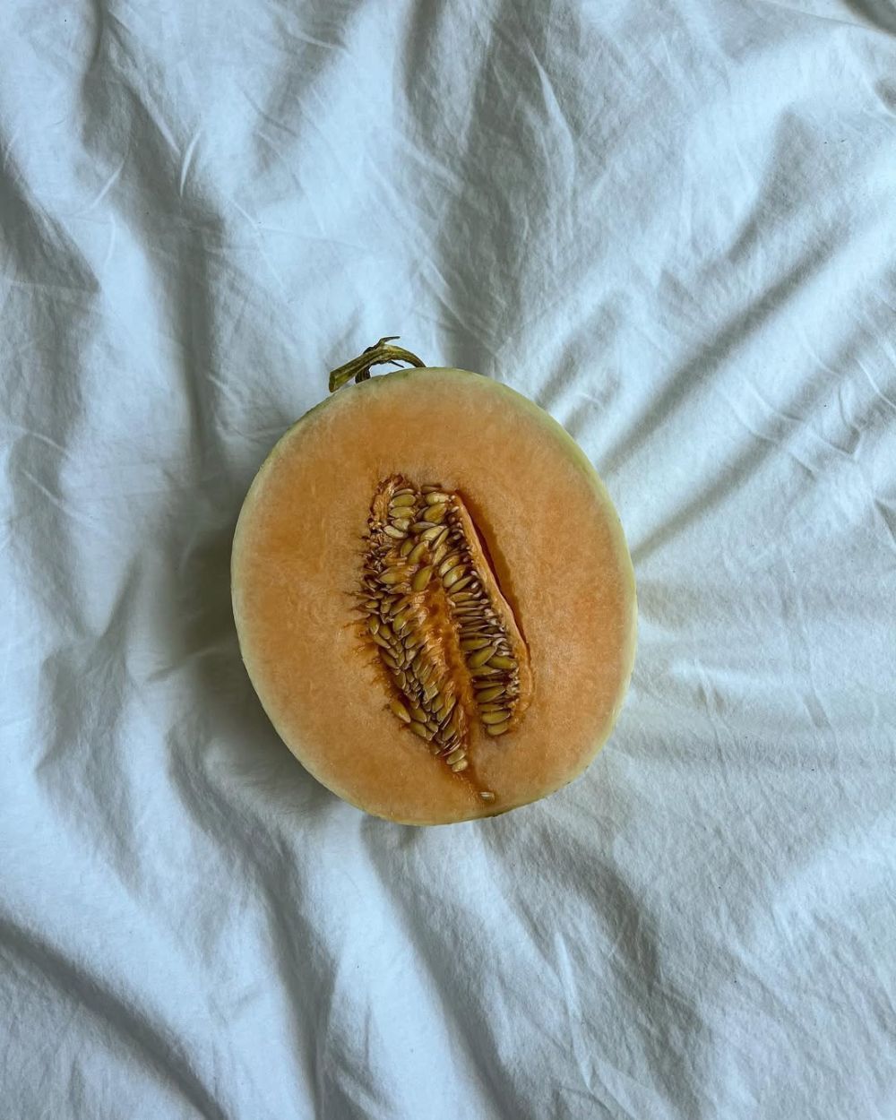 Zdravstveni benefiti dinje