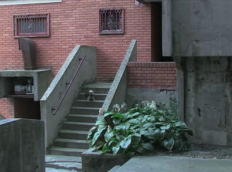 Dva kratka filma srpskih autora na koja treba obratiti pažnju na predstojećem Sarajevo Film Festivalu