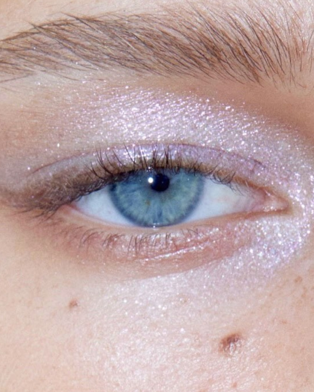 Sjajne senke za jesen