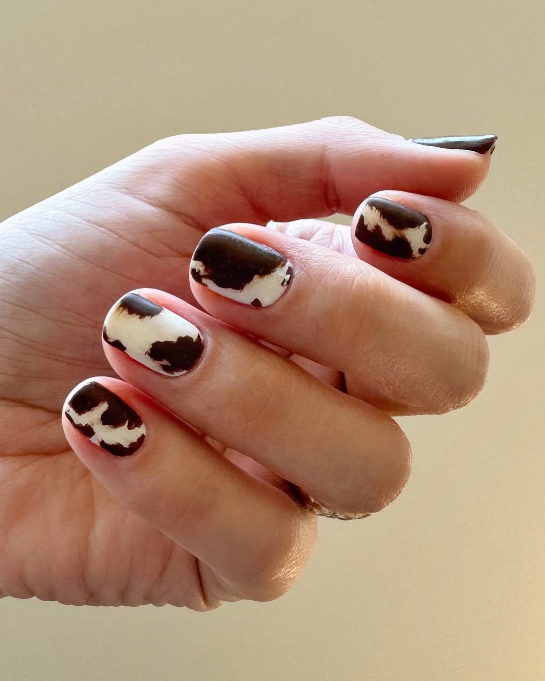 Cow nails manikir