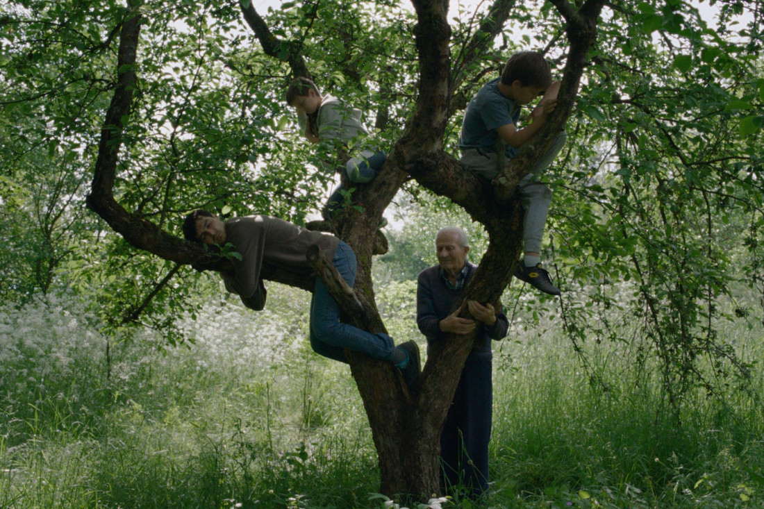 Vetre pričaj sa mnom Stefan Đorđević Sarajevo Film Festival