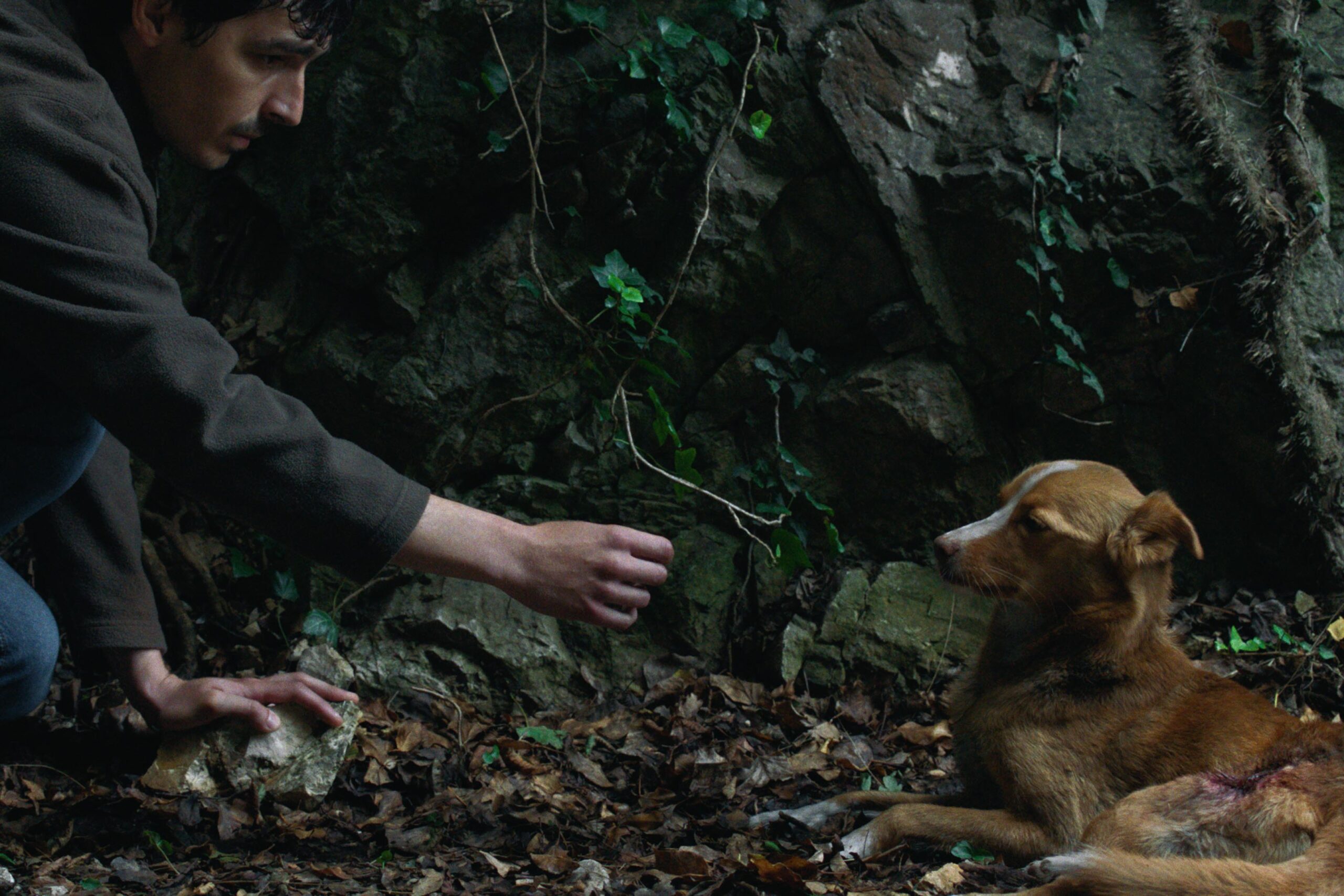 Kadar iz filma, Vetre pričaj sa mnom