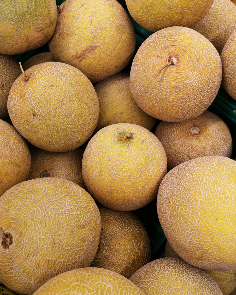 Zdravstveni benefiti dinje i za šta je sve zdrava 