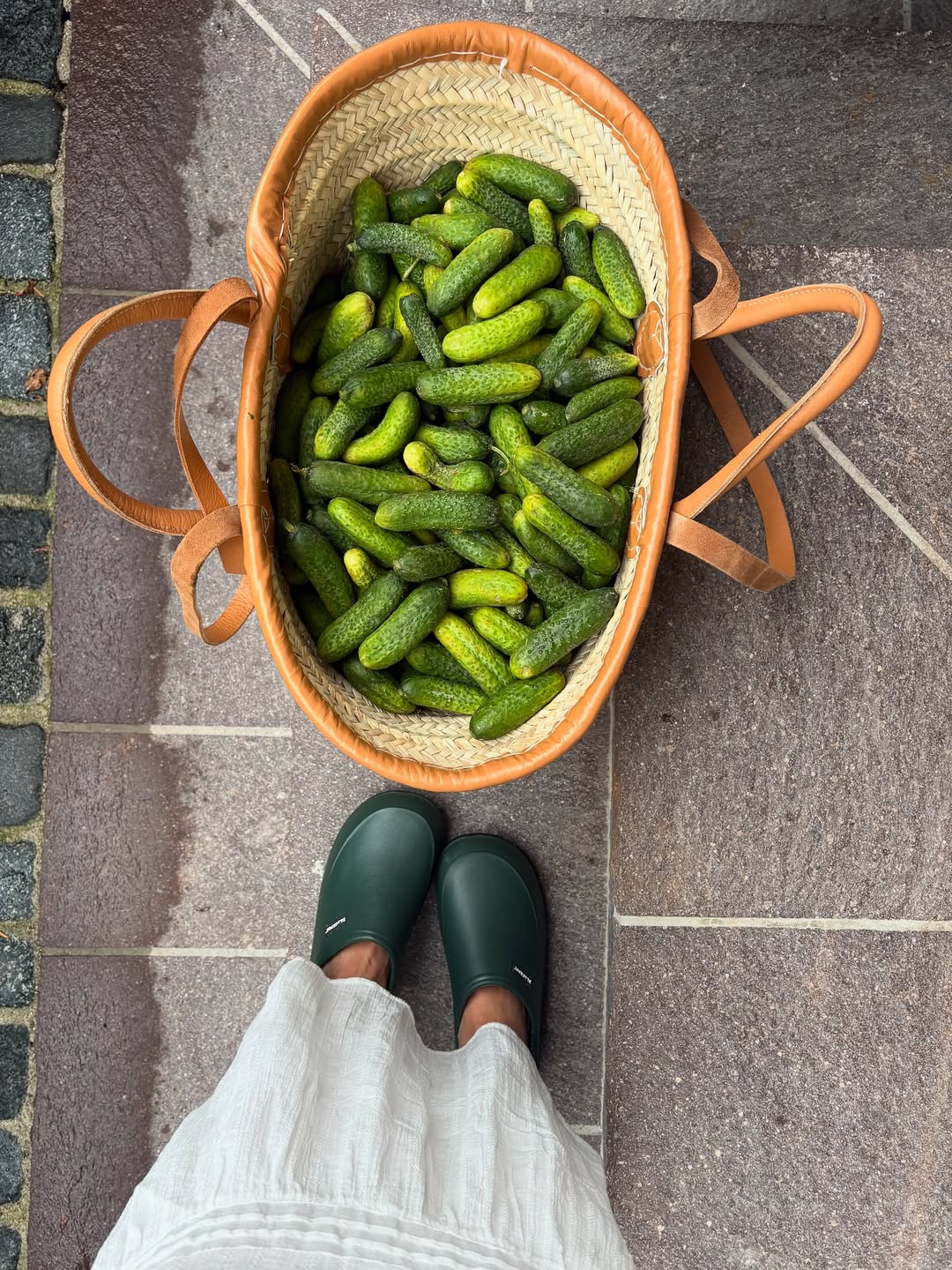 Kako se pravi zimnica