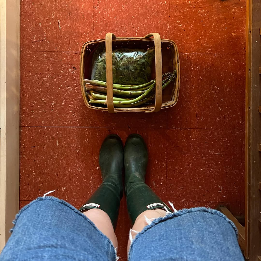 Ishrana za zdravlje nadbubrezne zlezde