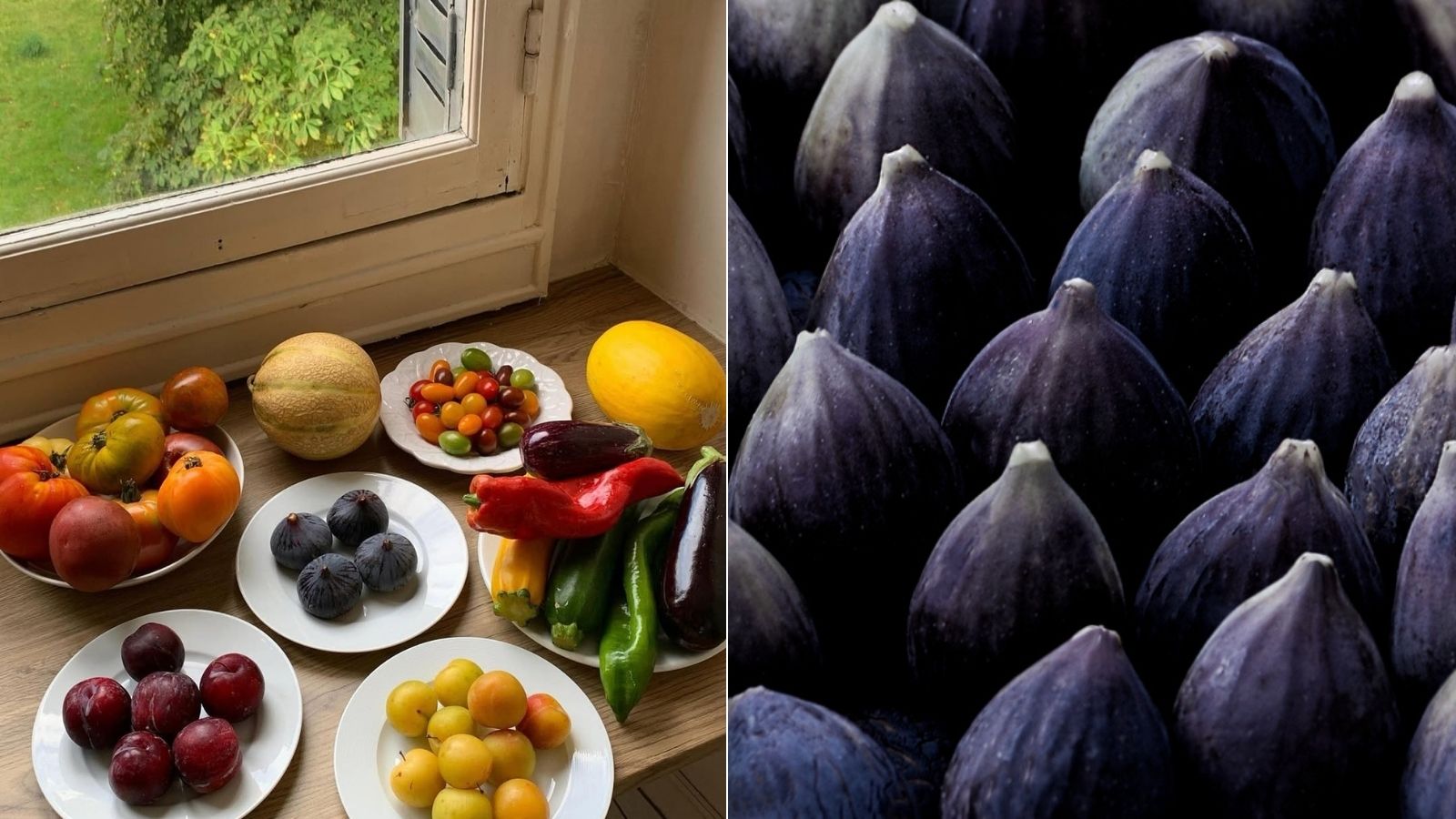 Endokrini disruptori