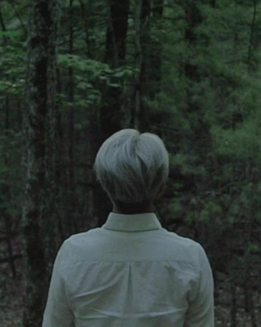 21. Filmski festival Slobodna zona 