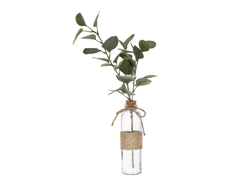 Dekorativna biljka ATMOSPHERA