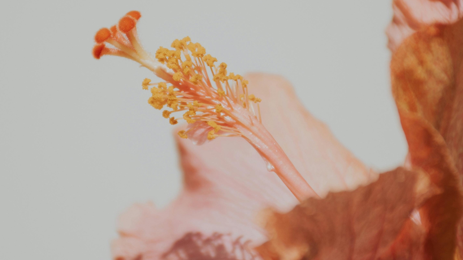 Dnevni horoskop za 17. oktobar 2025.