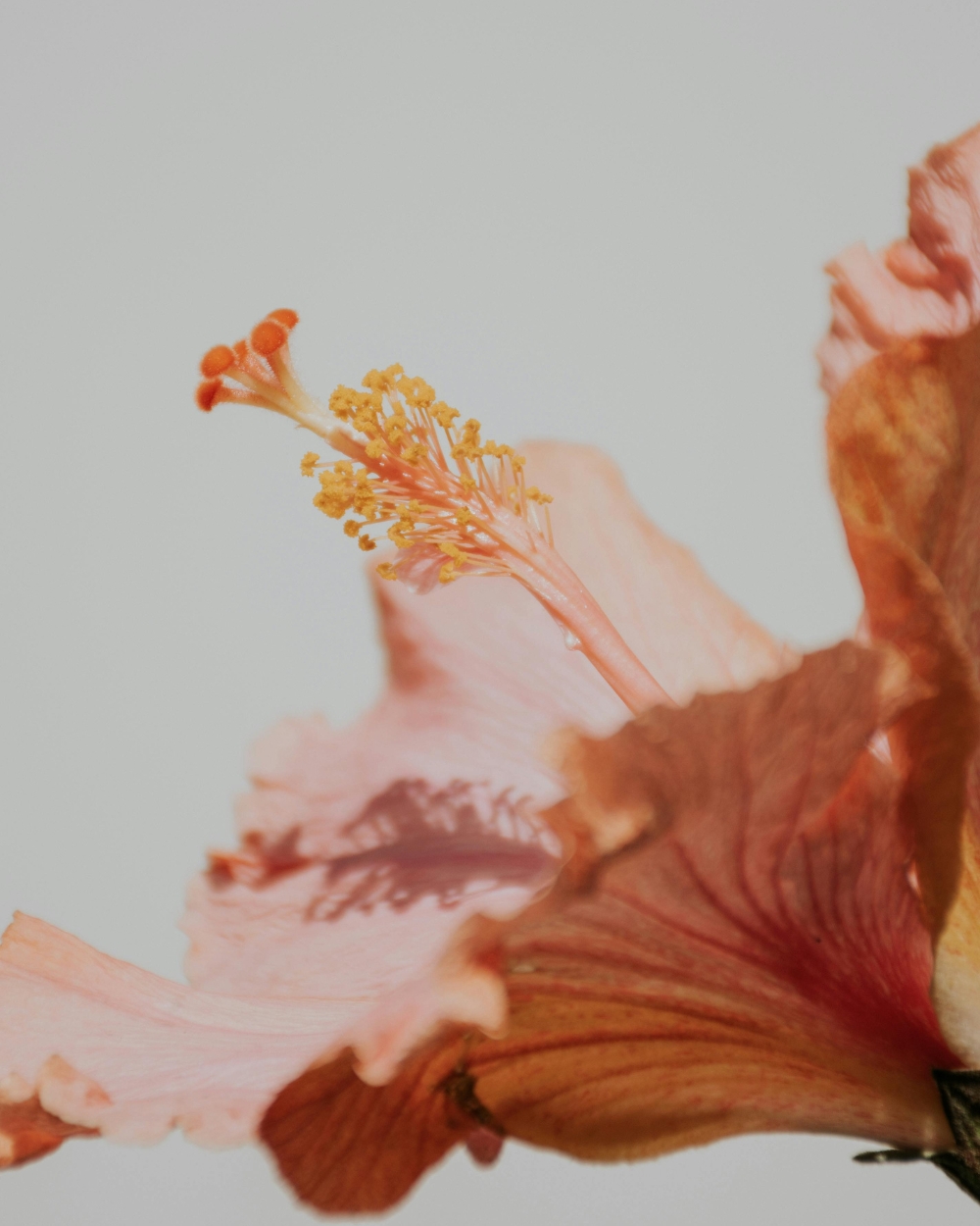 Dnevni horoskop za 17. oktobar 2025.