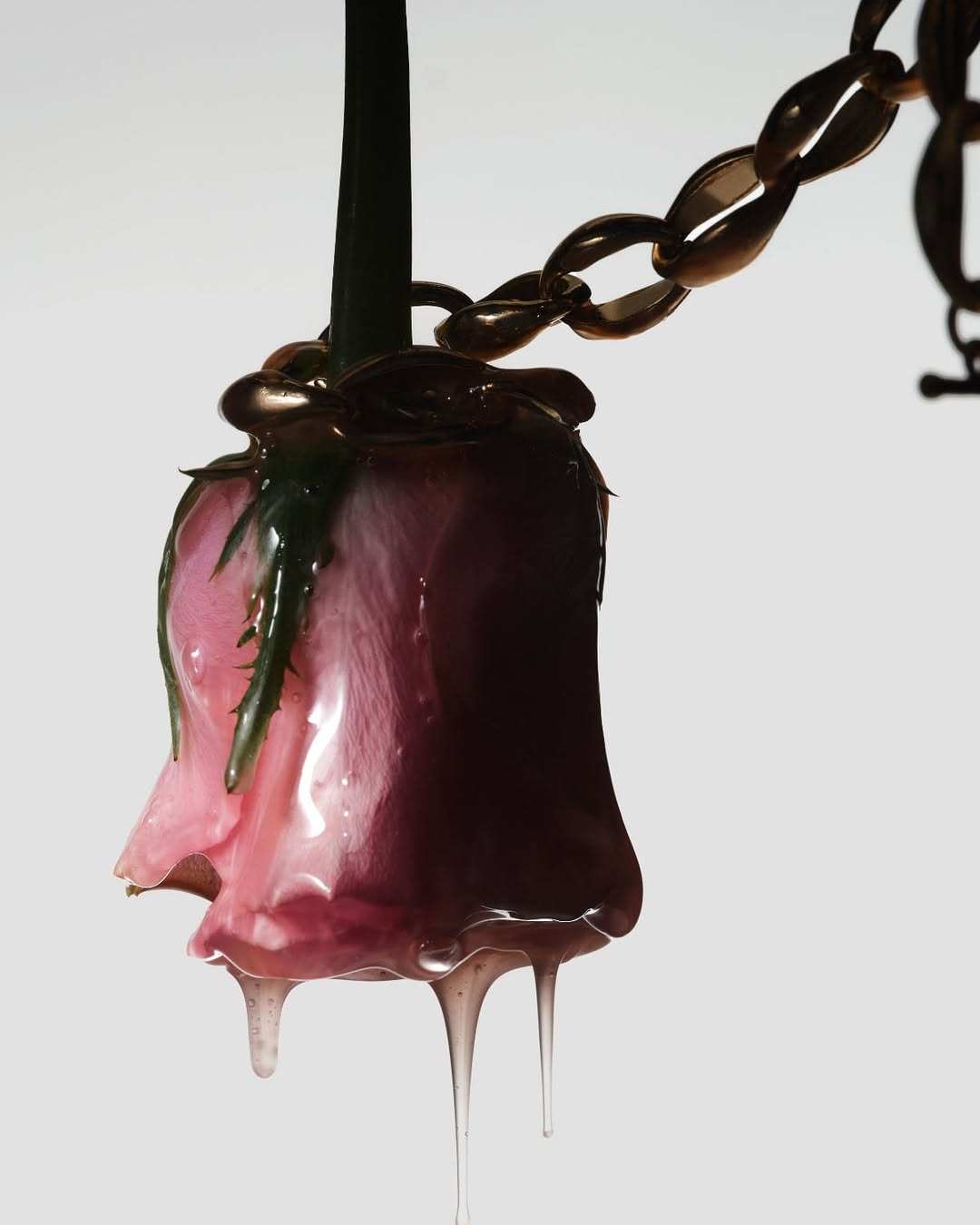 Fenty Skin body kolekcija 