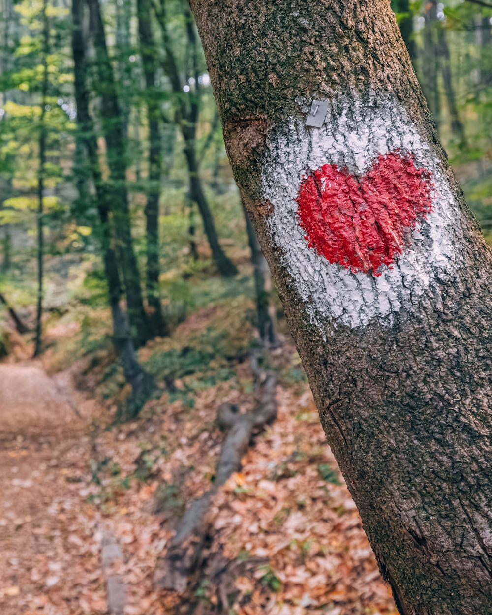 Fruška gora putovanje jesen