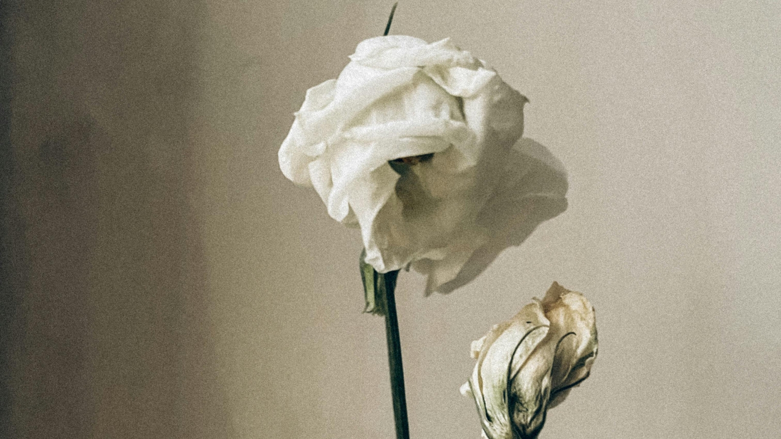 Nedeljni horoskop od 3. do 9. novembra 2025