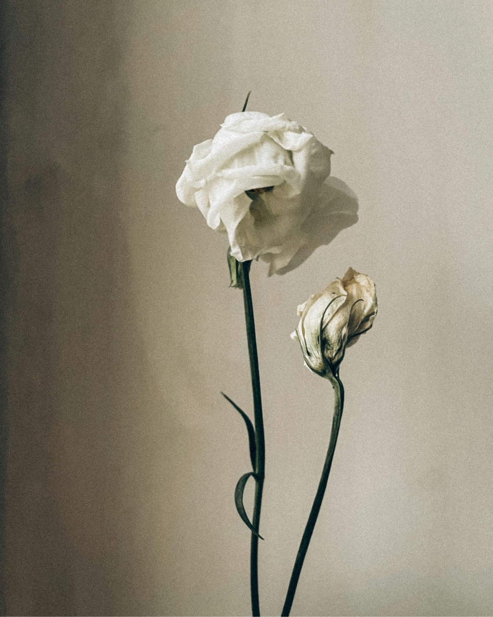 Nedeljni horoskop od 3. do 9. novembra 2025