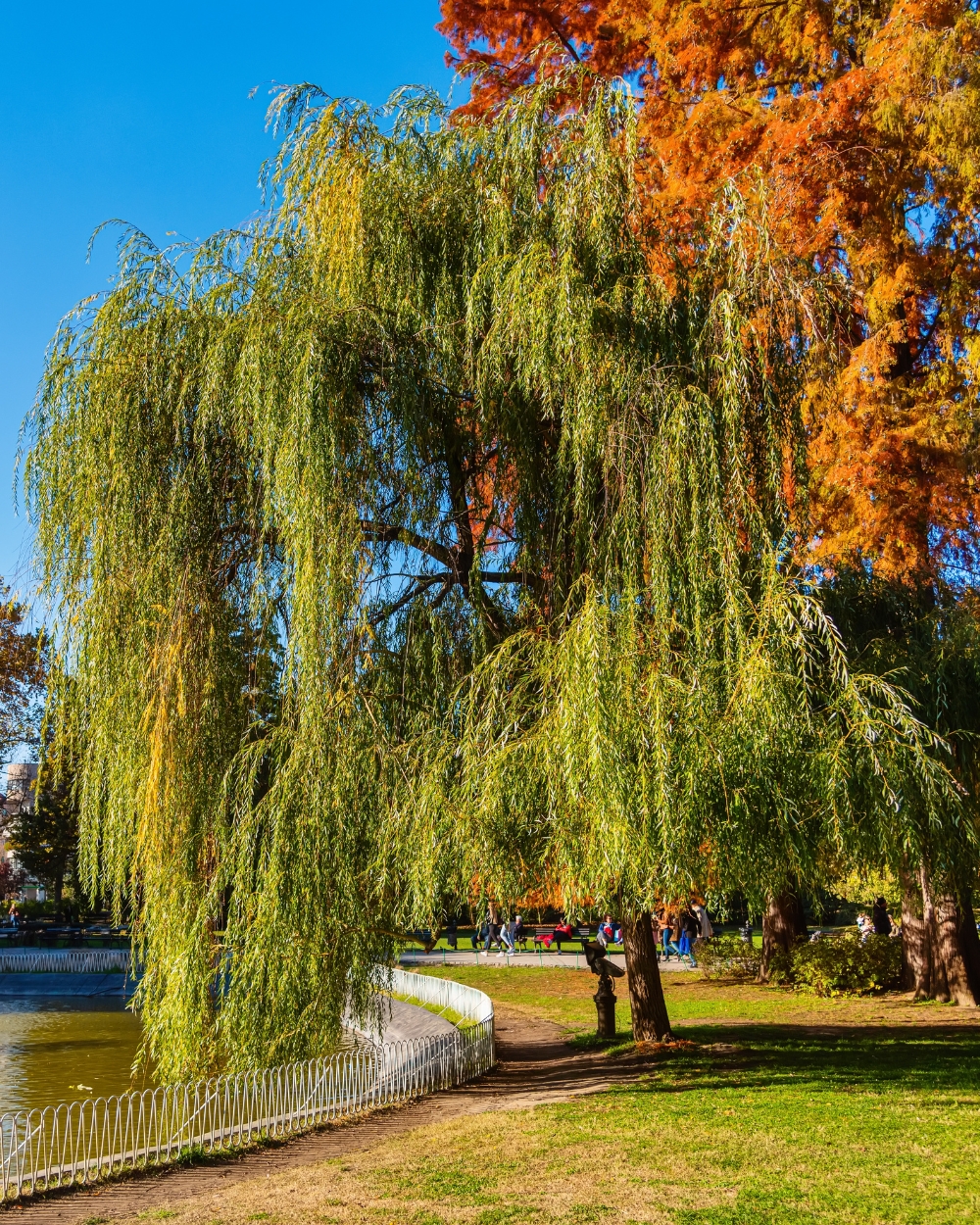 Novi Sad putovanje jesen