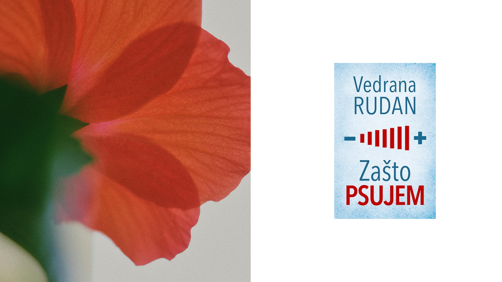 Regionalne autorke koje pomeraju granice