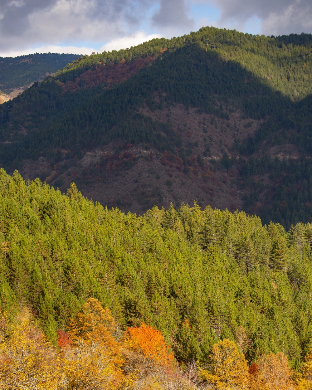 Tara putovanje jesen