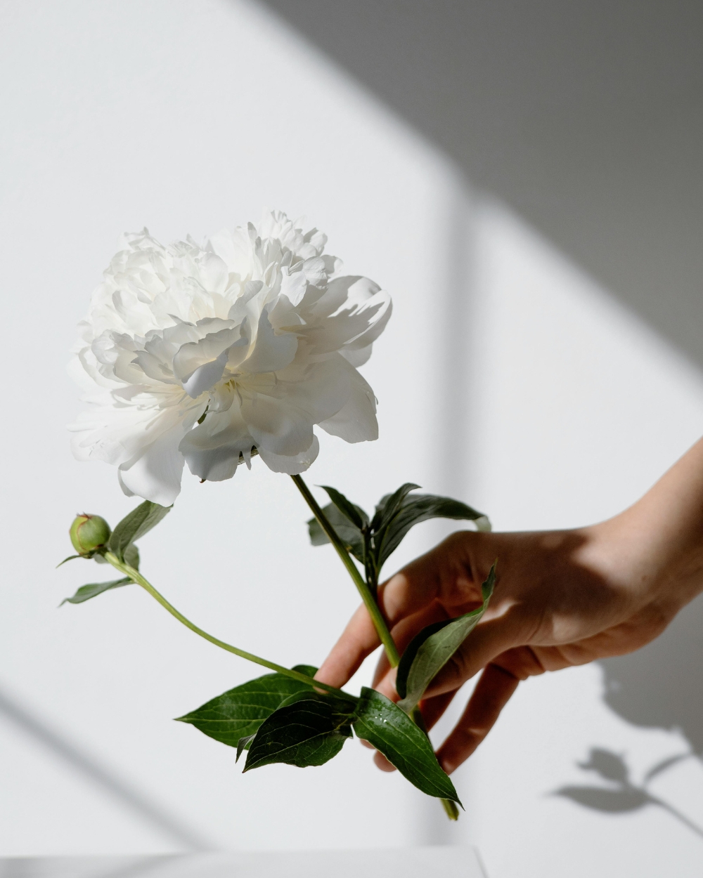 Dnevni horoskop za 19. novembar 2025