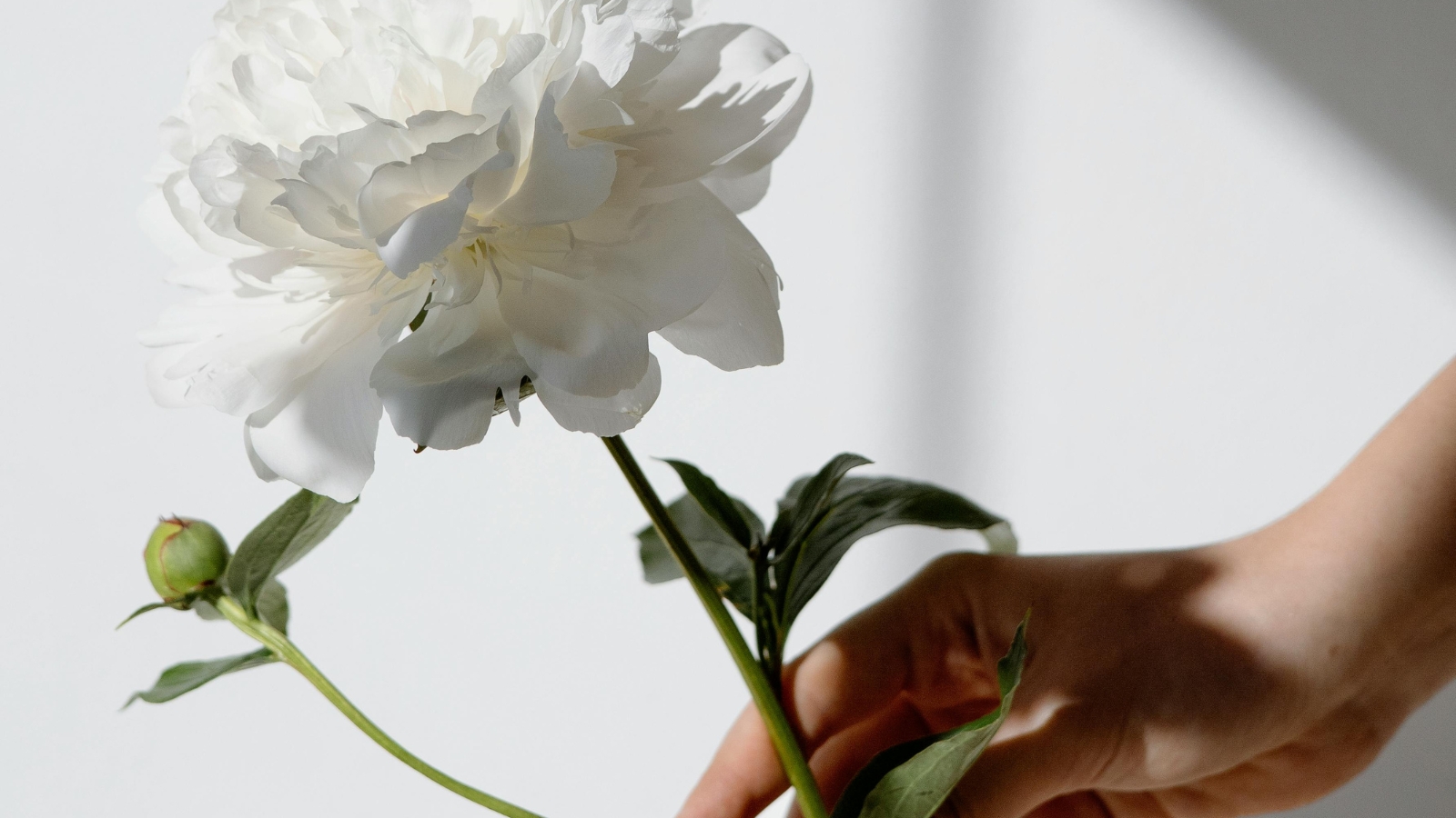 Dnevni horoskop za 19. novembar 2025