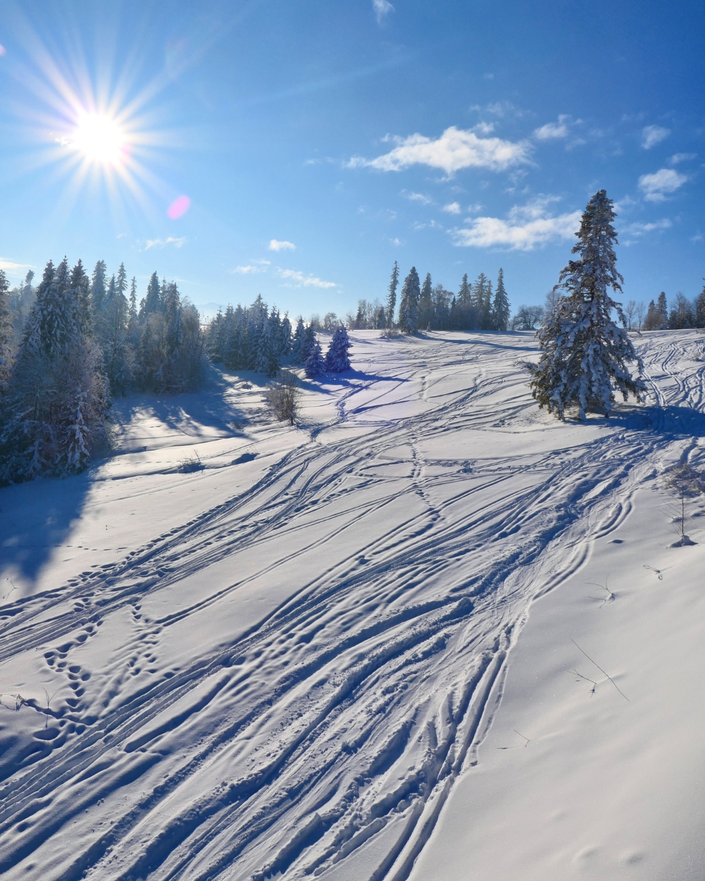 Poljska – Zakopane i Białka Tatrzańska skijališta
