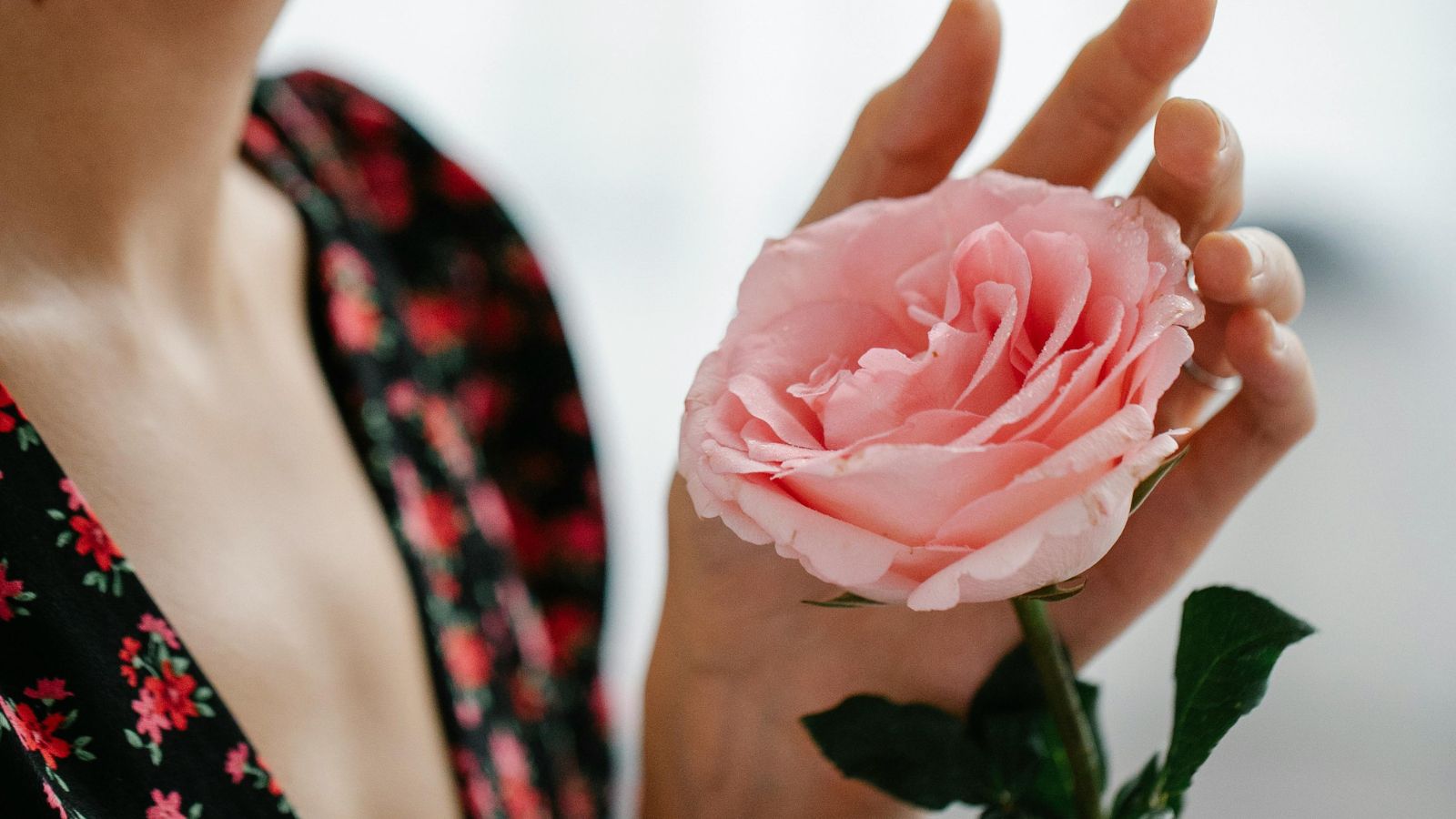 Vikend horoskop za 8. i 9. novembar