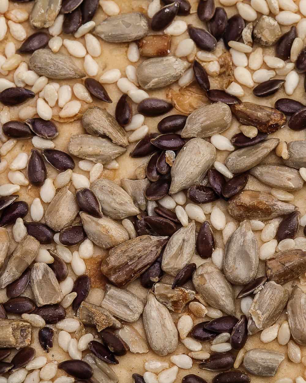 Delta Food Experience recepti hrskavo & fit